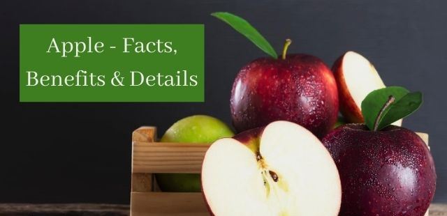 Apple - Facts, Benefits & Details