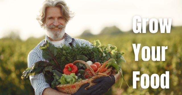 grow your food