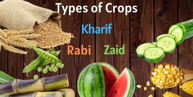 types of crops