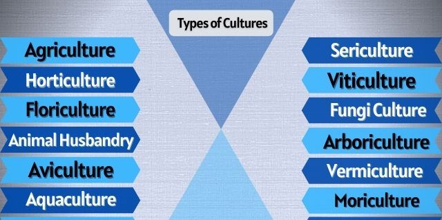 types of cultures